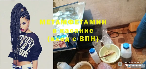 индика Богданович